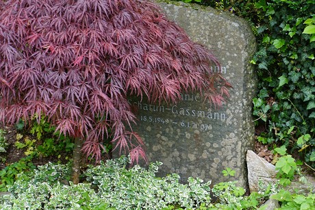 Bad Godesberg